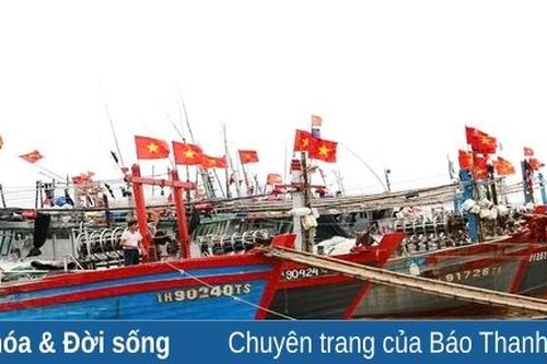 Tàu, thuyền ngư dân Hoằng Hóa vào nơi tránh trú bão