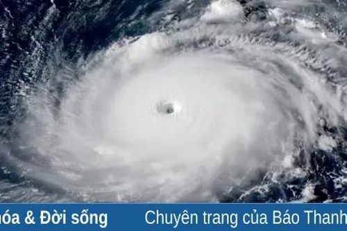 Bão