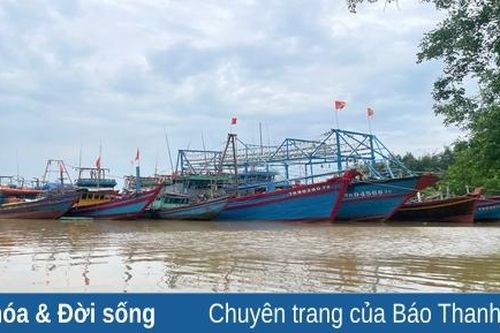 Trước ngày bão đổ bộ vào đất liền