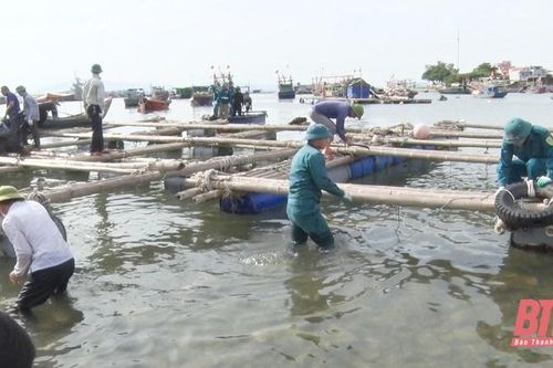 Thị xã Nghi Sơn: Phấn đấu xử lý dứt điểm việc nuôi trồng thủy sản tự phát trong năm 2024