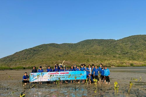 Chung tay phục hồi vịnh Nha Trang - Kỳ 2: Nâng cao nhận thức, ứng xử thân thiện với môi trường