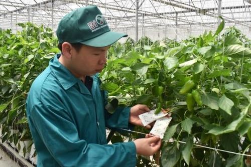 Đổi trắng thành xanh - hành trình bao lâu nữa? (Bài 1)