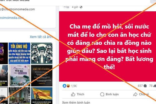 'Bả' dân chủ