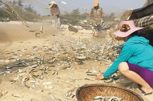 Ngày mới ở Ngũ Điền
