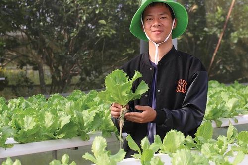 Hỗ trợ sinh viên 'gọi vốn' khởi nghiệp đổi mới sáng tạo