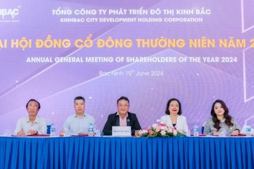 Công ty của CEO nhận lương 17 tỷ đồng/năm kinh doanh thế nào?