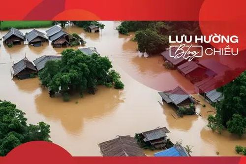 Bão ơi, ngoại khóc đủ rồi