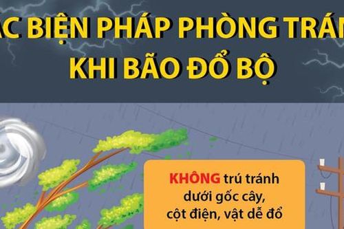 Các biện pháp phòng tránh khi bão đổ bộ
