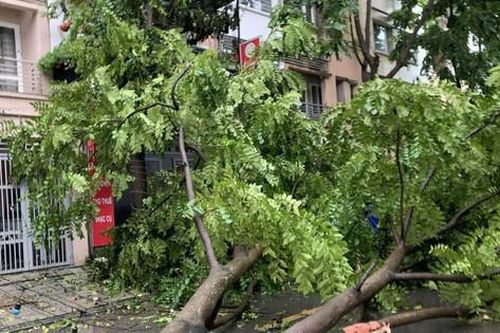 Hà Nội mưa lớn, nhiều cây gãy đổ, các tuyến đường ùn tắc