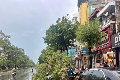 Dông lốc chiều 6-9 tại Hà Nội làm 7 người thương vong, 155 cây xanh gãy đổ