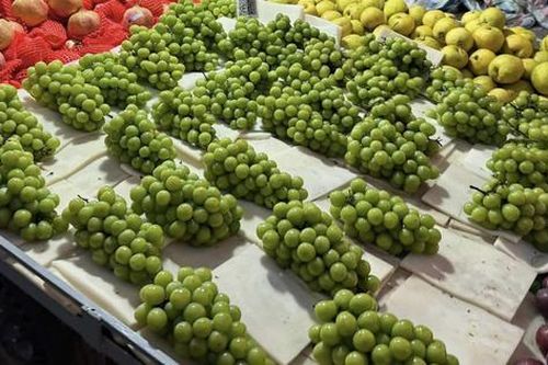 Sốc với giá nho sữa 'quý tộc', từ đắt đỏ thành loại quả rẻ nhất chợ