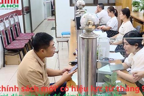 3 'chính sách mới' có hiệu lực từ tháng 9, người tiêu dùng cần biết để đảm bảo quyền lợi