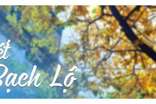 Cách khai vận cho 12 con giáp trong tiết khí Bạch Lộ để mang tới điềm may, tránh điều xui rủi