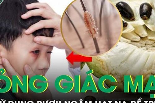 Bỏng kết giác mạc do sử dụng rượu ngâm hạt na để trị chấy