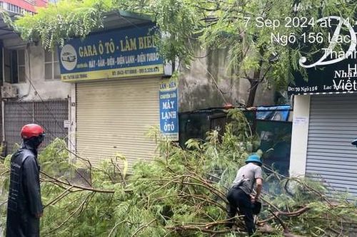 Hà Nội: Ảnh hưởng bão số 3 khiến hàng chục cây gãy đổ tại quận Hai Bà Trưng