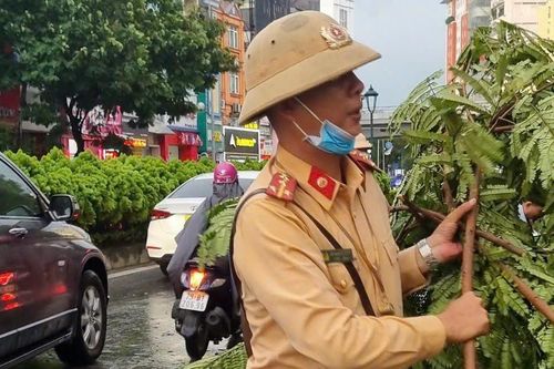 CSGT dọn cây đổ sau mưa đảm bảo cho xe thông suốt