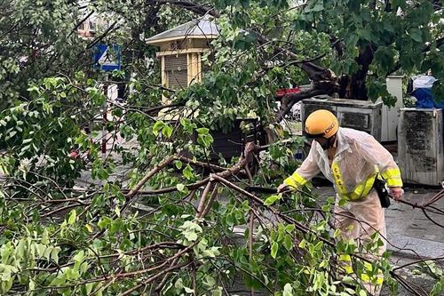 Cảnh sát giao thông Thủ đô chủ động phân luồng, dọn cây đổ giúp người dân tham gia giao thông