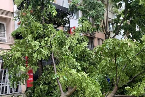 Các địa phương ghi nhận thiệt hại ban đầu do bão số 3