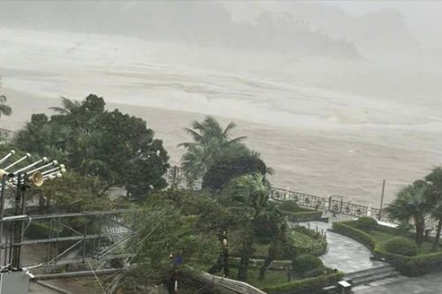 Hải Phòng: 20 người bị thương do bão số 3