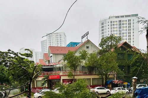 Chủ tịch Hà Nội khuyến cáo người dân không ra khỏi nhà trong mưa bão