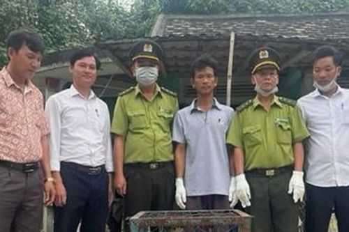Thả loài động vật quý hiếm 'đi lạc' vào nhà dân về môi trường tự nhiên