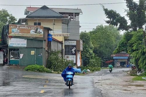 Huyện Chương Mỹ gấp rút triển khai các phương án ứng phó với 'siêu bão' Yagi