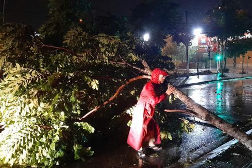 Thạch Thất: xử lý hàng loạt cây đổ, di dời người dân khỏi vùng nguy hiểm