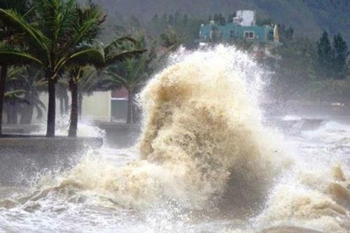 Bão số 3 đổ bộ, Hà Nội chuẩn bị đón gió mạnh cực đại