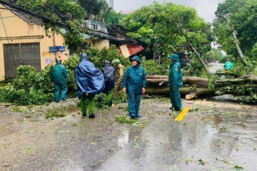 Huyện Đan Phượng: kịp thời xử lý cây xanh bị đổ do bão số 3