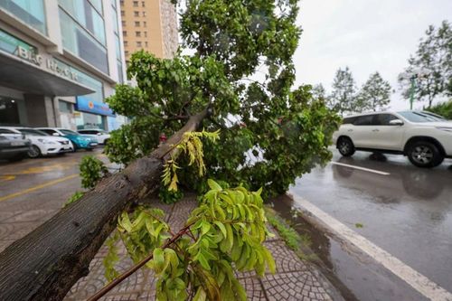 Cơn bão số 3 quét qua Hà Nội, gây thiệt hại lớn