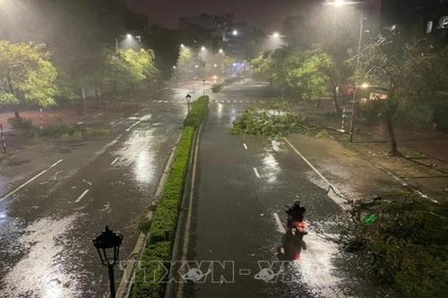 Bão số 3 đổ bộ vào Hà Nội, mưa lớn kèm gió giật mạnh
