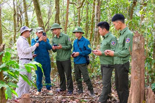 Chú trọng chuyển đổi số lĩnh vực lâm nghiệp