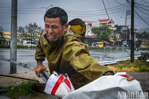 Thành phố Cẩm Phả thiệt nại nặng trong bão số 3