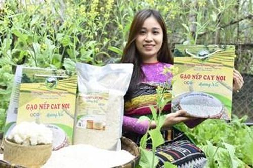 Liên kết chuỗi giá trị giúp giảm nghèo trên vùng đất khó