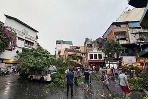 Hà Nội: 226 cây xanh đổ gãy và 7 người thương vong do hoàn lưu bão số 3