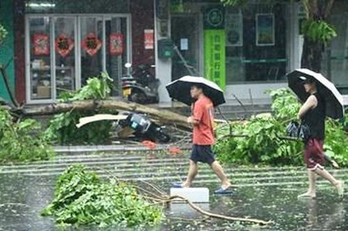 Siêu bão Yagi càn quét đảo Hải Nam, 2 người tử vong, 830.000 hộ mất điện