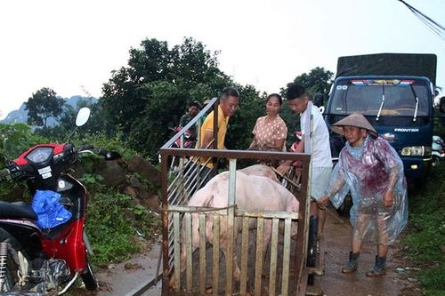 Hòa Bình: Di dời khẩn cấp 8 hộ dân ở Kim Bôi