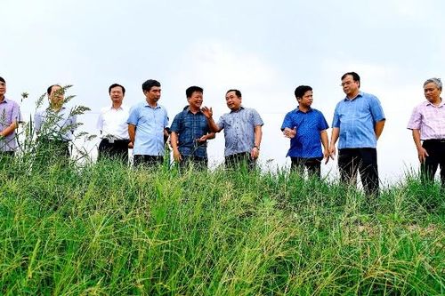 Hải Dương: Ứng phó với bão số 3 ở mức cao nhất