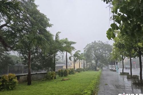 Bão số 3: Quảng Ninh di dời hơn 2 nghìn hộ dân, huyện đảo Cô Tô ban hành lệnh giới nghiêm