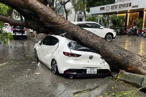 Những lưu ý quan trọng khi di chuyển trong điều kiện mưa bão
