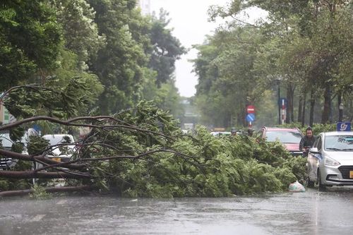 Bão quần thảo đồng bằng Bắc Bộ, 4 người tử vong, 6 người mất tích