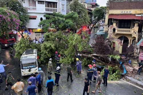 Khuyến cáo phòng tai nạn cây đổ và sử dụng điện trong mưa bão ở Hà Nội