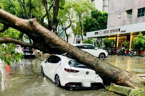 Chủ tịch Hà Nội khuyến cáo người dân không ra khỏi nhà trong mưa bão