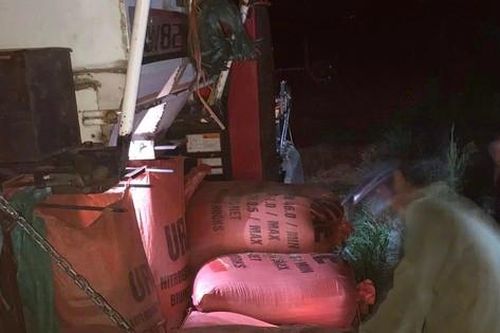 Nông dân Yên Bái gặt lúa trong đêm tránh bão