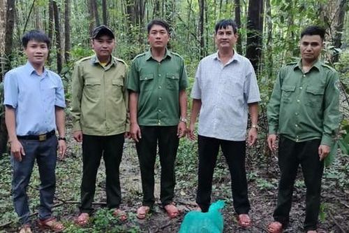Cá thể trăn đất nặng 15kg được thả về tự nhiên