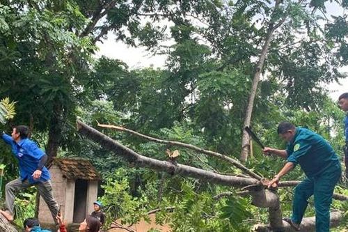 Tuổi trẻ Nghệ An giúp người dân ứng phó bão số 3