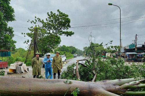 Hà Nội: Giải tỏa ngay cây xanh gãy đổ, đảm bảo giao thông Quốc lộ 6