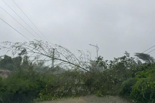 Bão số 3 đã gây thiệt hại bước đầu cho huyện đảo Cô Tô