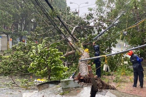 Khuyến cáo các phương tiện không nên qua lại các cây cầu