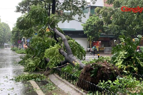 Hà Nội thấp thỏm trước giờ bão vào